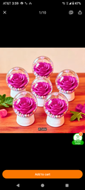 Pink preserved rose in a clear glass globe dome with pearl accents on white base
