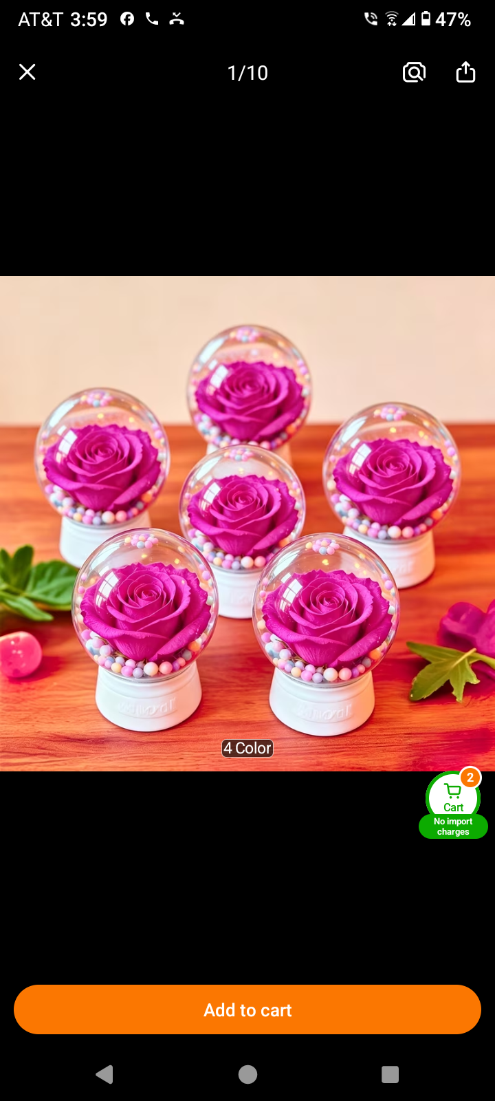 Pink preserved rose in a clear glass globe dome with pearl accents on white base