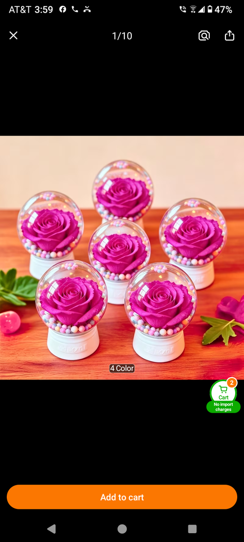 Pink preserved rose in a clear glass globe dome with pearl accents on white base