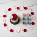 Rose Globe Dome and Rose Capsule Set bundle arrangement